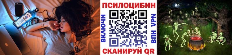 ссылка на мегу зеркало Пикалёво Галлюциногенные грибы Cubensis